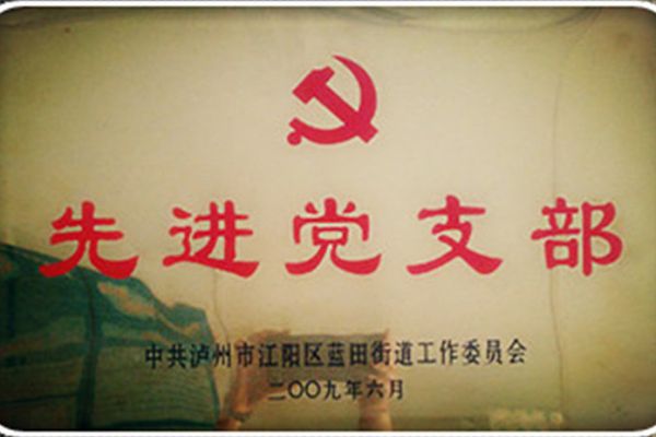先进党支部