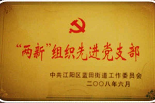 两新组织先进党支部